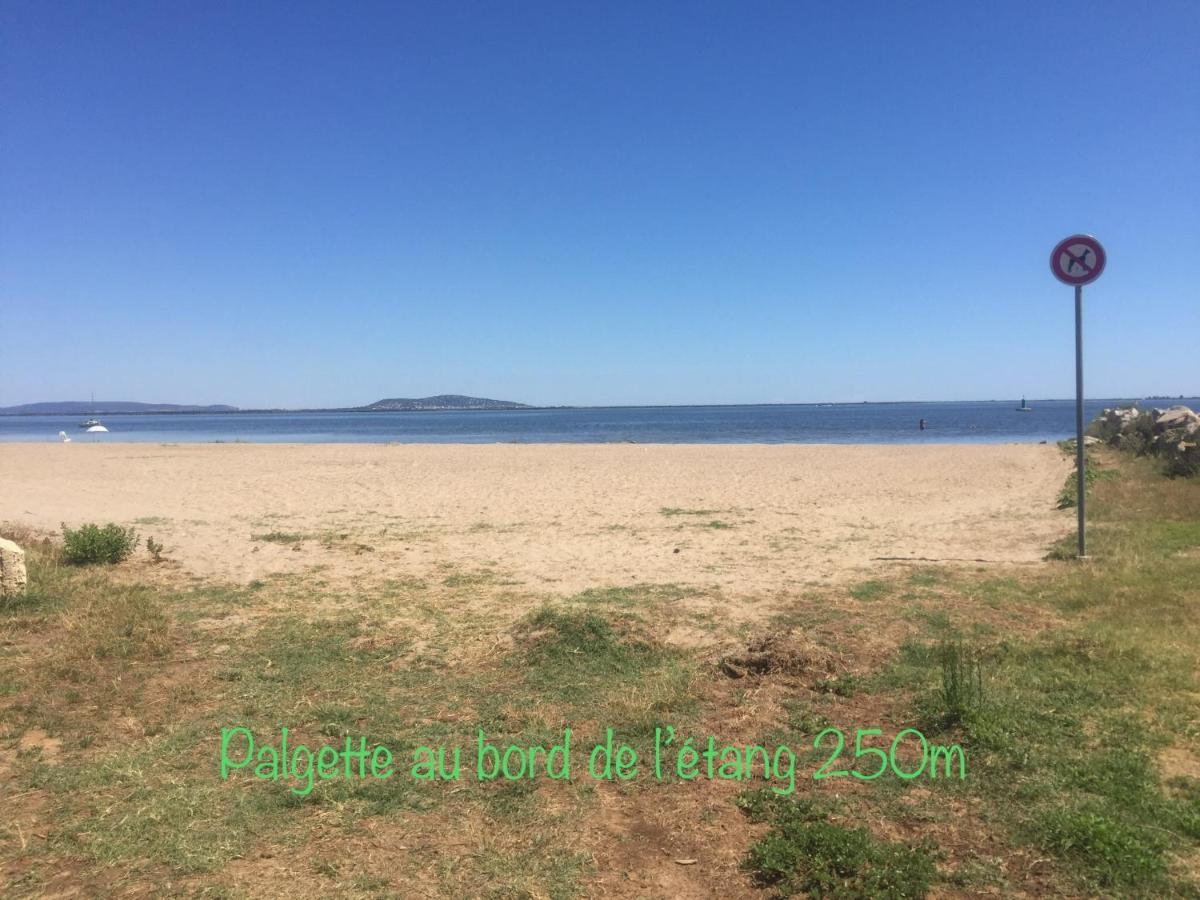 Horte Neuve Marseillan  Bagian luar foto